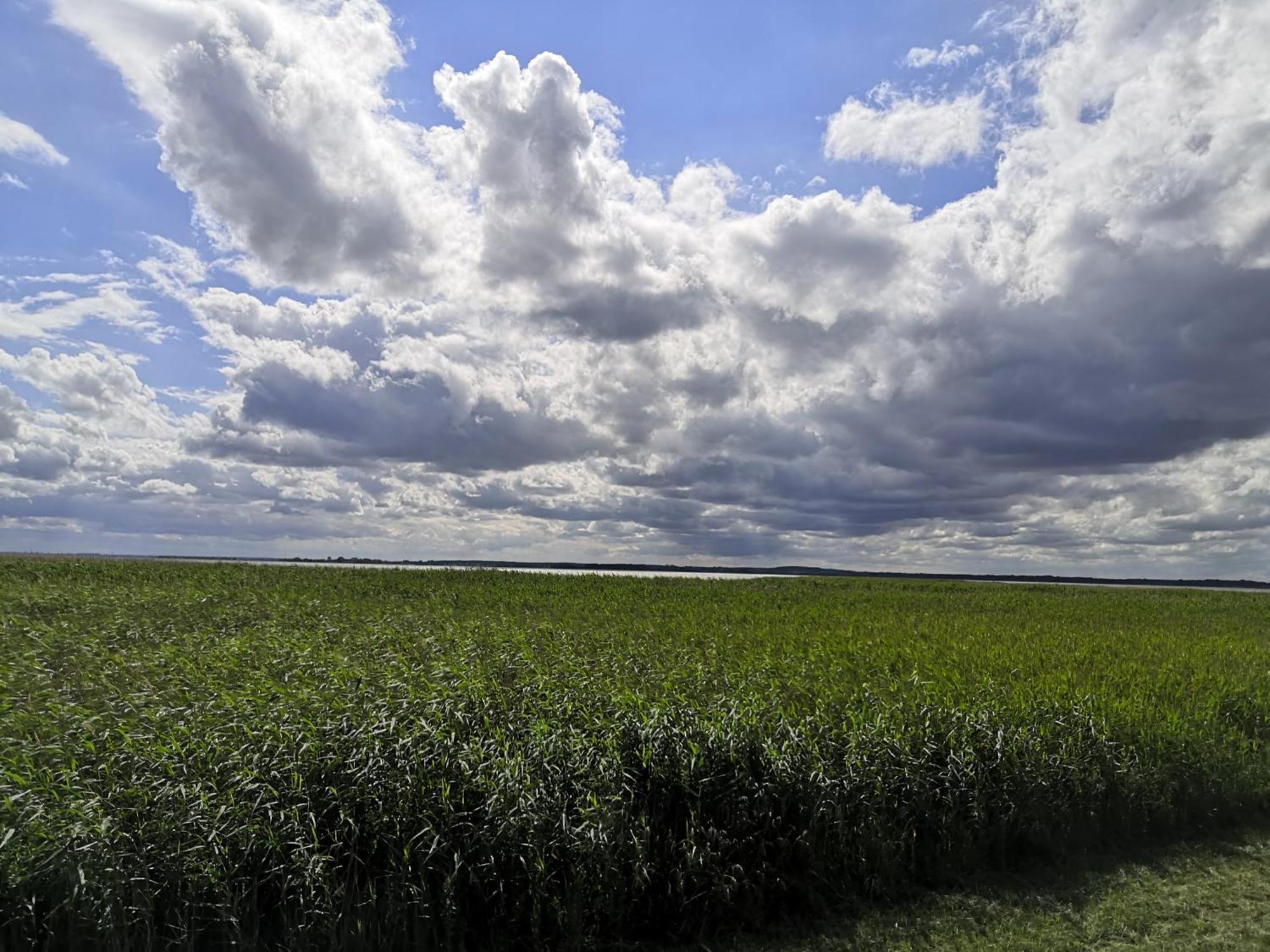 Fewo Weg 2 Heringsdorf (Usedom) Ngoại thất bức ảnh